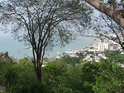 Pattaya bay